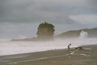 An der West Coast